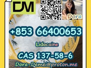 Lidocaine，CAS 137-58-6