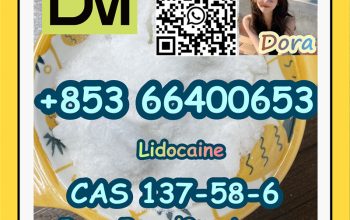 Lidocaine，CAS 137-58-6