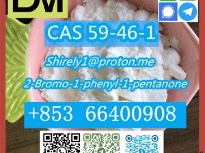 CAS 59-46-1 Procaine with high quality