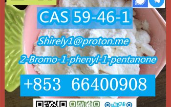CAS 59-46-1 Procaine with high quality