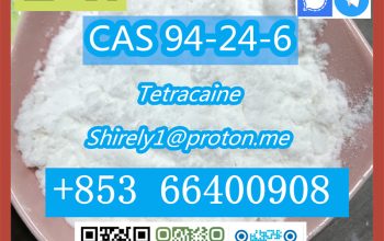 CAS 94-24-6 Tetracaine high quality hot sale stock