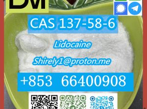 CAS 137-58-6 Lidocaine high quality good price