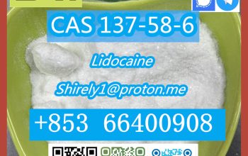 CAS 137-58-6 Lidocaine high quality good price