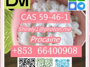 CAS 59-46-1 Procaine with high quality hot sale