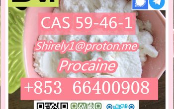 CAS 59-46-1 Procaine with high quality hot sale