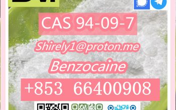 CAS 94-09-7 Benzocaine high quality good price