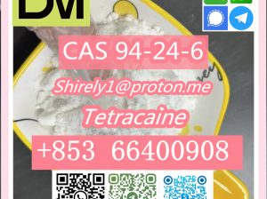 CAS 94-24-6 Tetracaine high quality hot sale stock