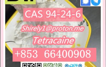 CAS 94-24-6 Tetracaine high quality hot sale stock