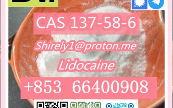 CAS 137-58-6 Lidocaine high quality good price