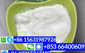 CAS 94-09-7 苯佐卡因