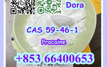 Procaine，CAS 59-46-1