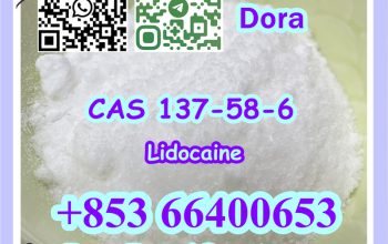Lidocaine，CAS 137-58-6