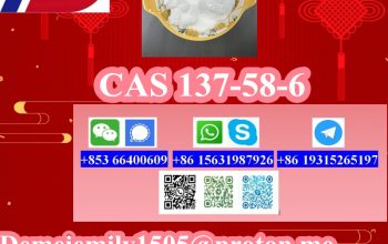 CAS 137-58-6 Lidocaine