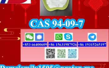 CAS 94-09-7 Benzocaine