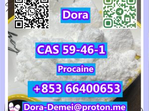Procaine，CAS 59-46-1