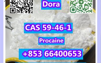 Procaine，CAS 59-46-1