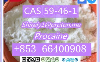 CAS 59-46-1 Procaine with high quality hot sale