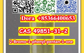 2-Bromo-1-phenyl-pentan-1-one CAS 49851-31-2