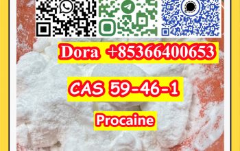 Procaine，CAS 59-46-1