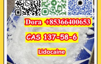 Lidocaine，CAS 137-58-6