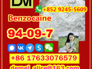CAS 94-09-7 Benzocaine