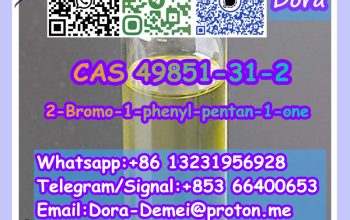 2-Bromo-1-phenyl-pentan-1-one CAS 49851-31-2