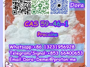 Procaine，CAS 59-46-1