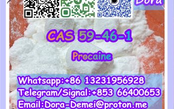 Procaine，CAS 59-46-1