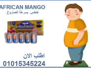 حبوب المانجو الافريقي للتخسيس طريقك لقوام مثالي