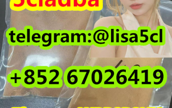 -5CL-ADB Powder 5cl Adb 5CL 5cladba 5cl Original