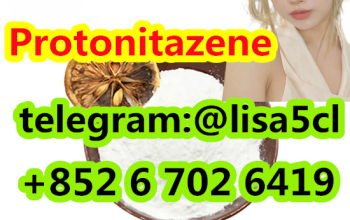 CAS 119276-01-6 Protonitazene
