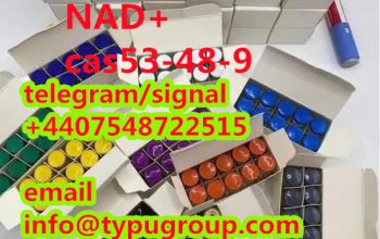 sell NAD+ peptides cas53-84-9