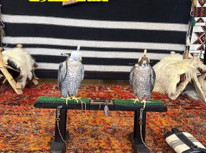 ملاحق خارجية
