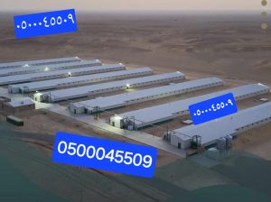 بناء حظائر الدواجن