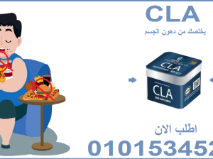 كبسولات سي ال اي للتخسيس وحرق الدهون01015345224